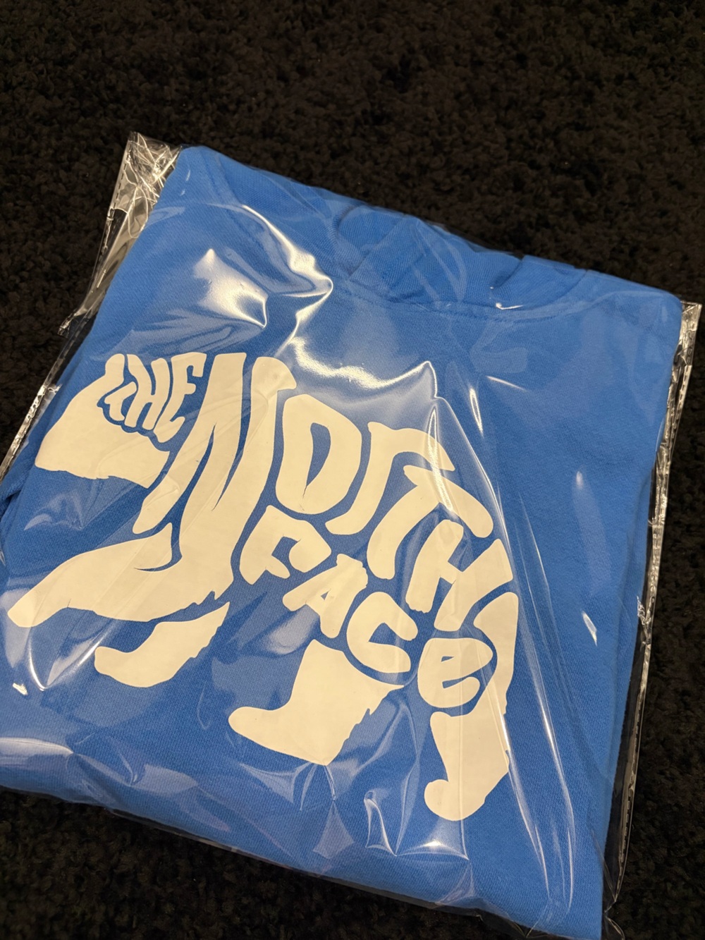 GUC North Face hoodie Youth Large - Picture 6 of 6